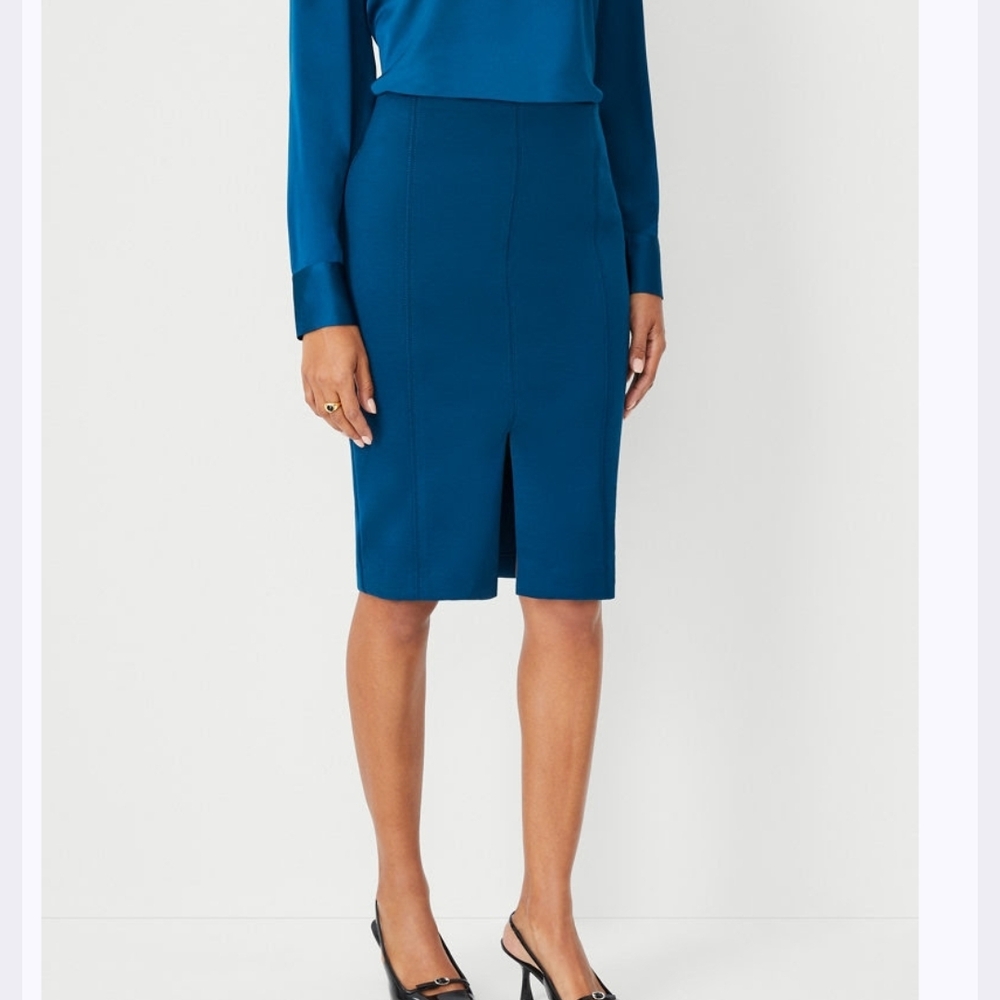 Ann Taylor NWT Size 6 Pencil Skirt